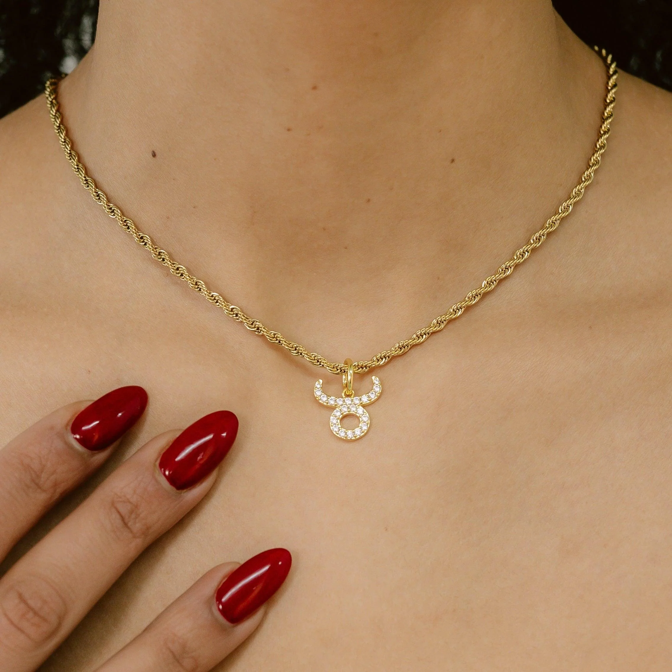 Zodiac Necklace - Image 9